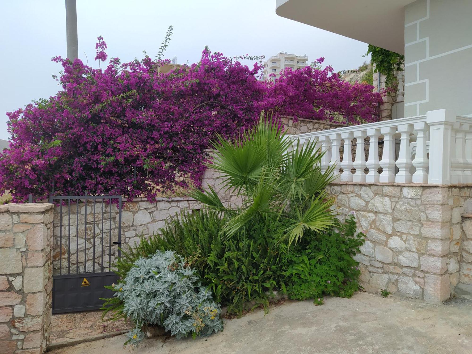 Villa Alimema Sarandë Exteriör bild